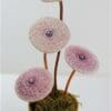 LF158 Two Small Zinnias