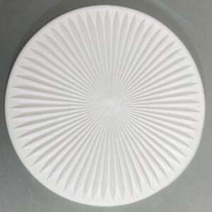 White circular plate with radial pattern.